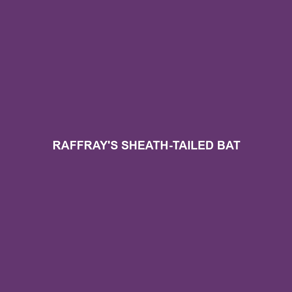 Raffray's Sheath-tailed Bat