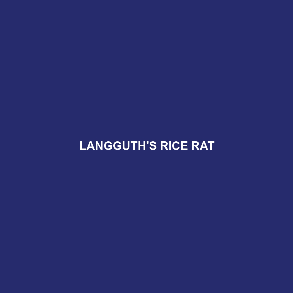 Langguth's Rice Rat