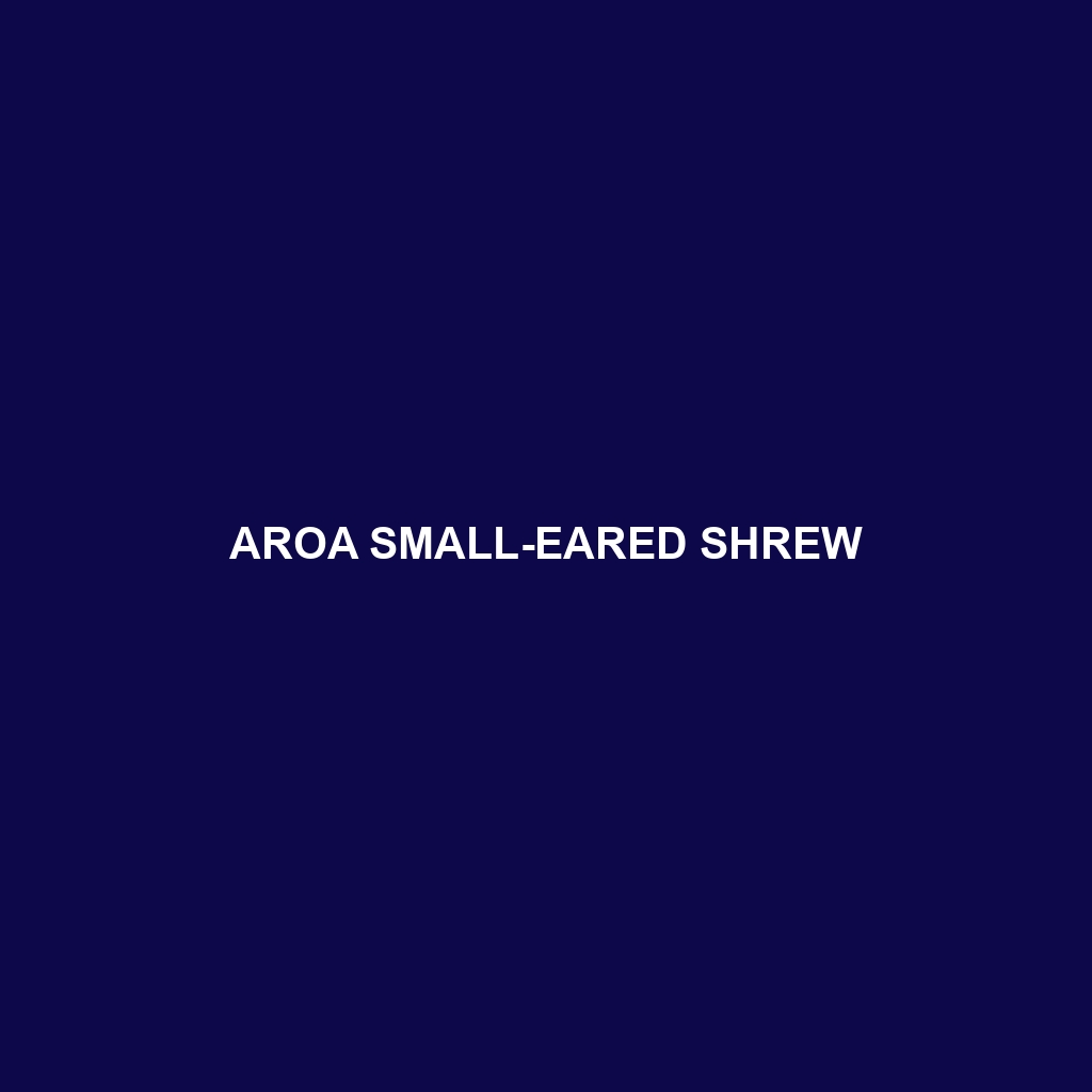 Aroa Small-eared Shrew