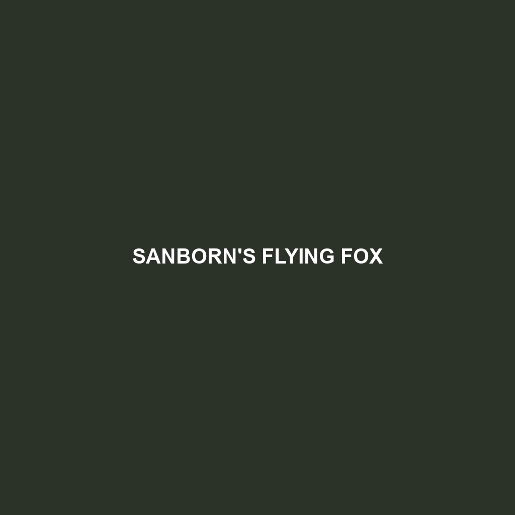 Sanborn's Flying Fox