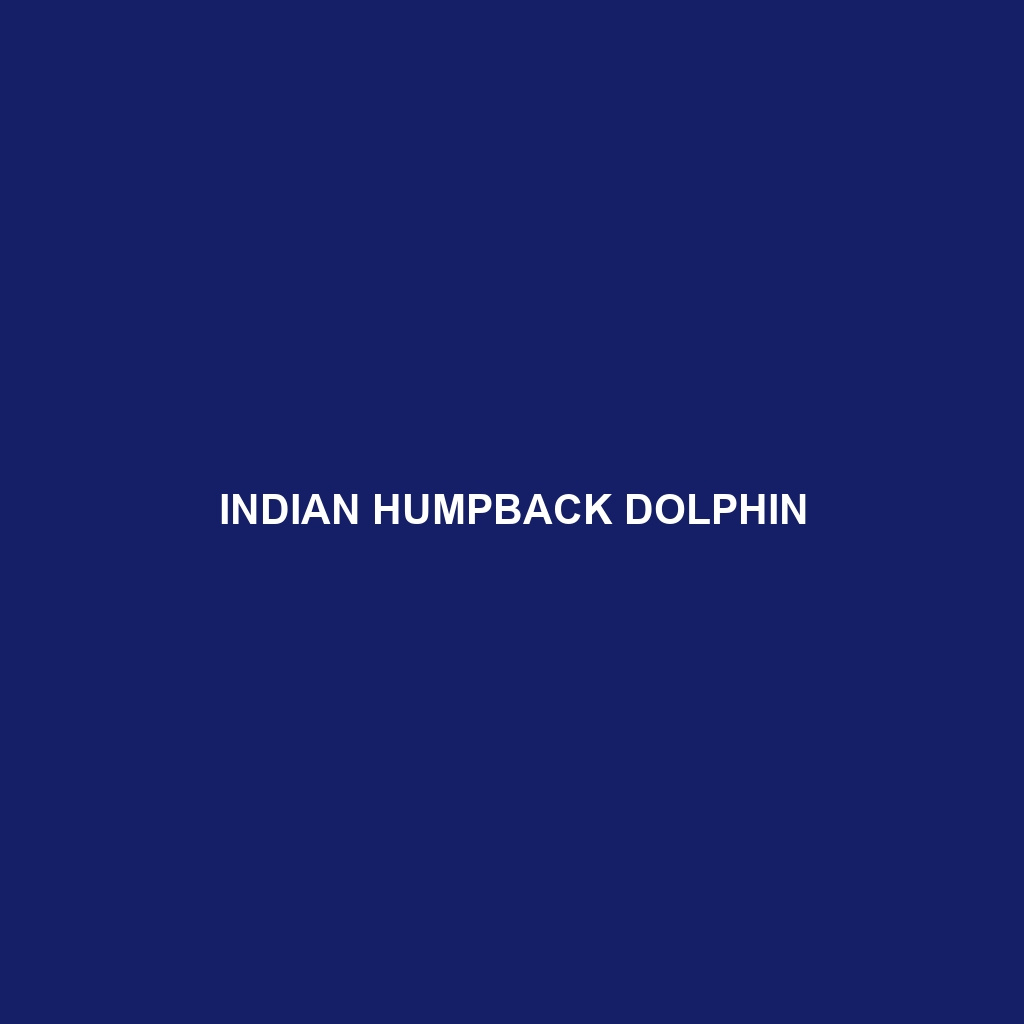 Indian Humpback Dolphin