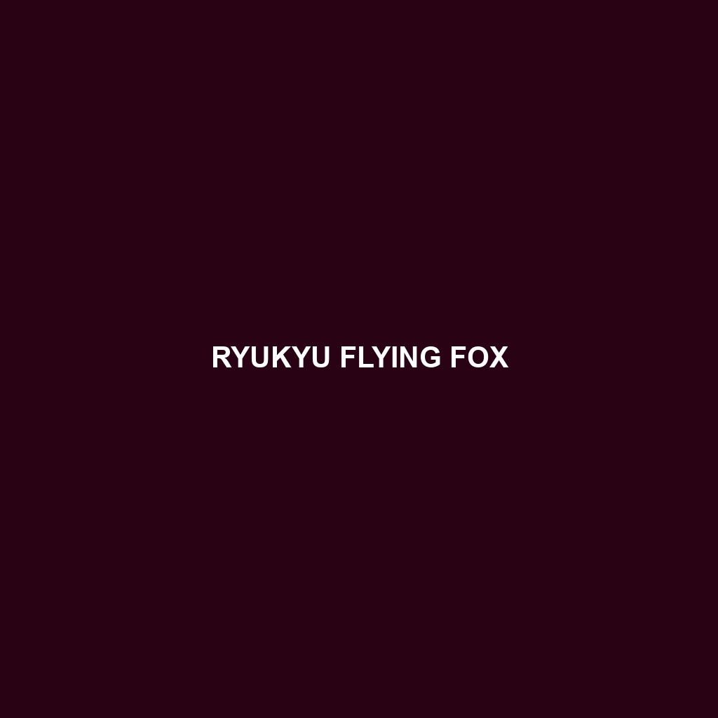 Ryukyu Flying Fox