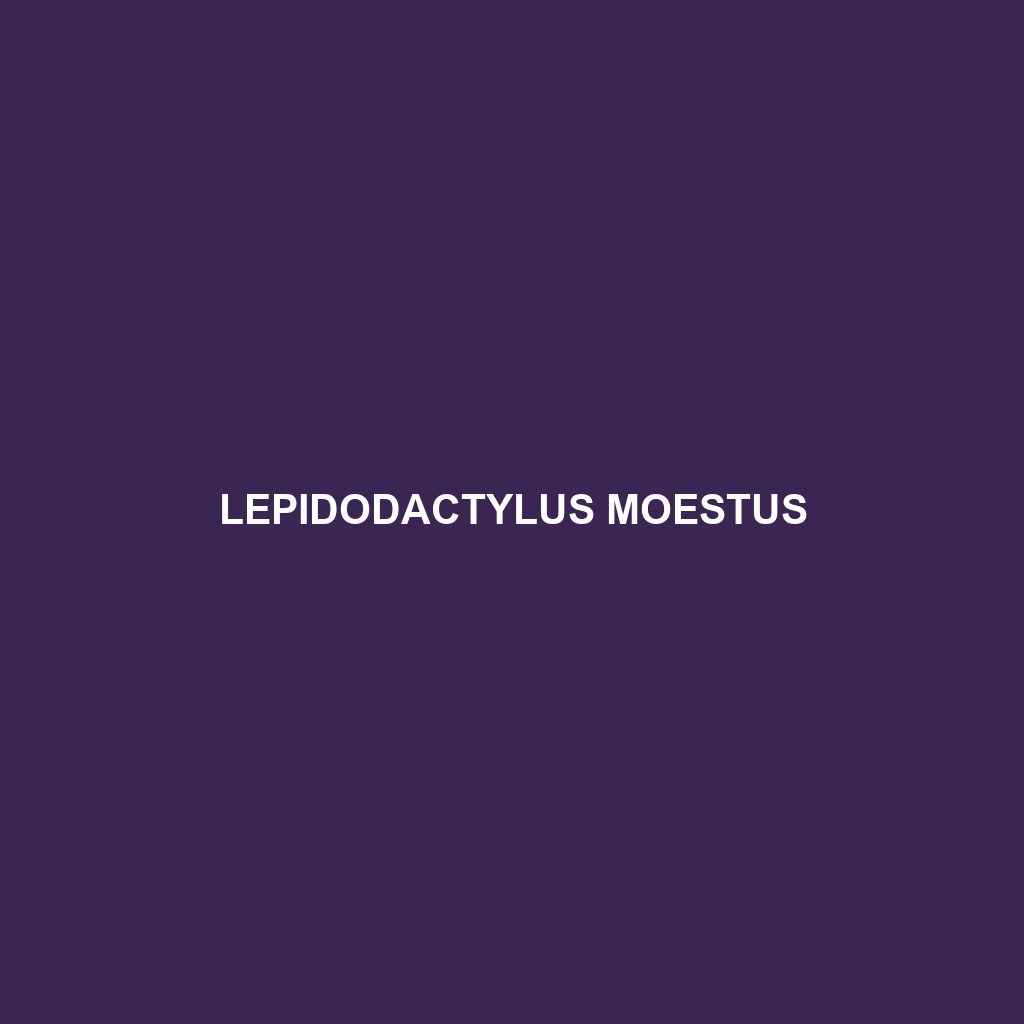 Lepidodactylus moestus