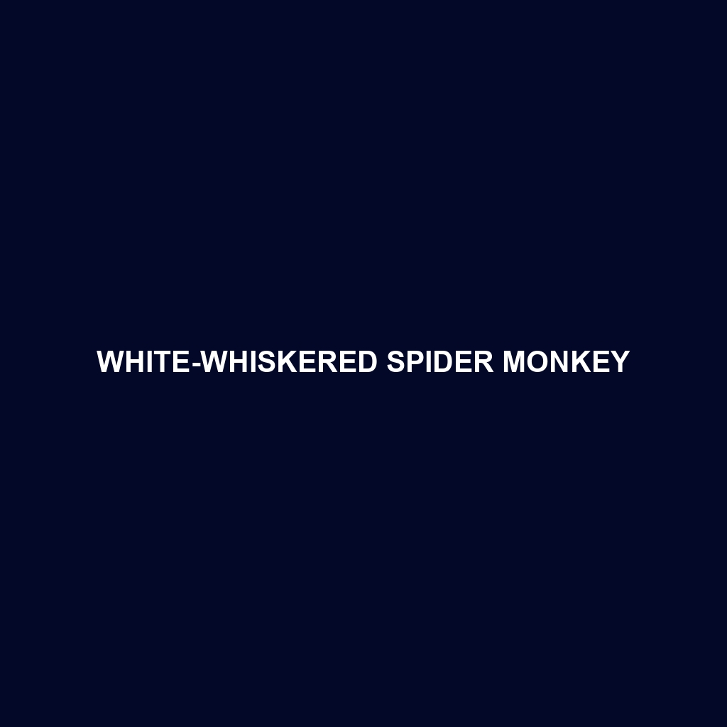 White-whiskered Spider Monkey