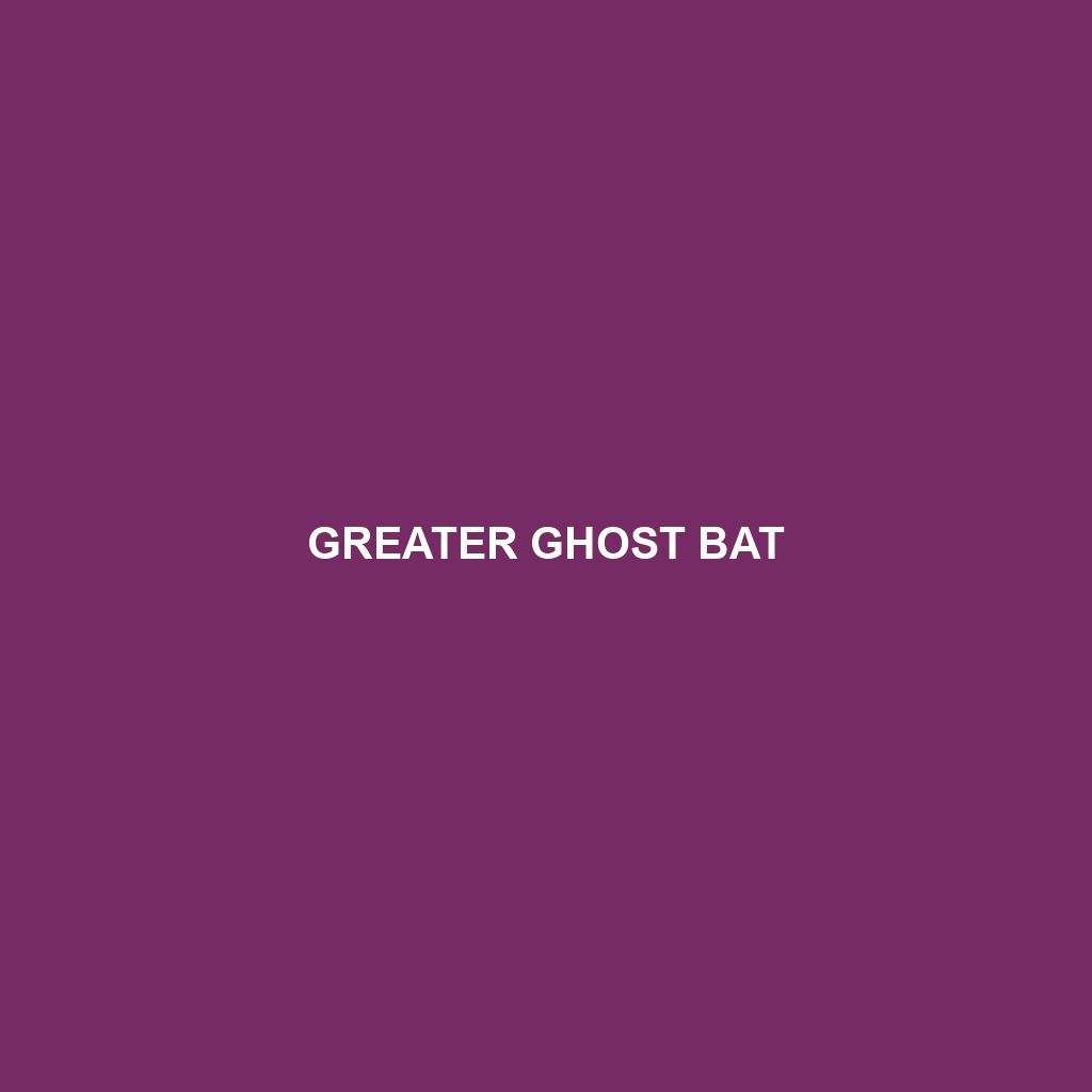 Greater Ghost Bat