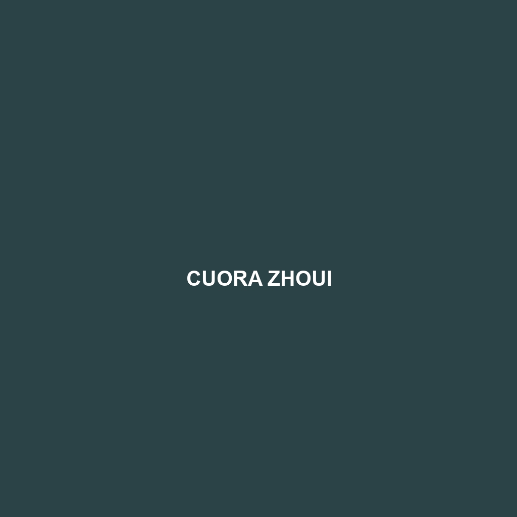 Cuora zhoui