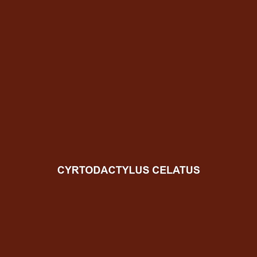 Cyrtodactylus celatus