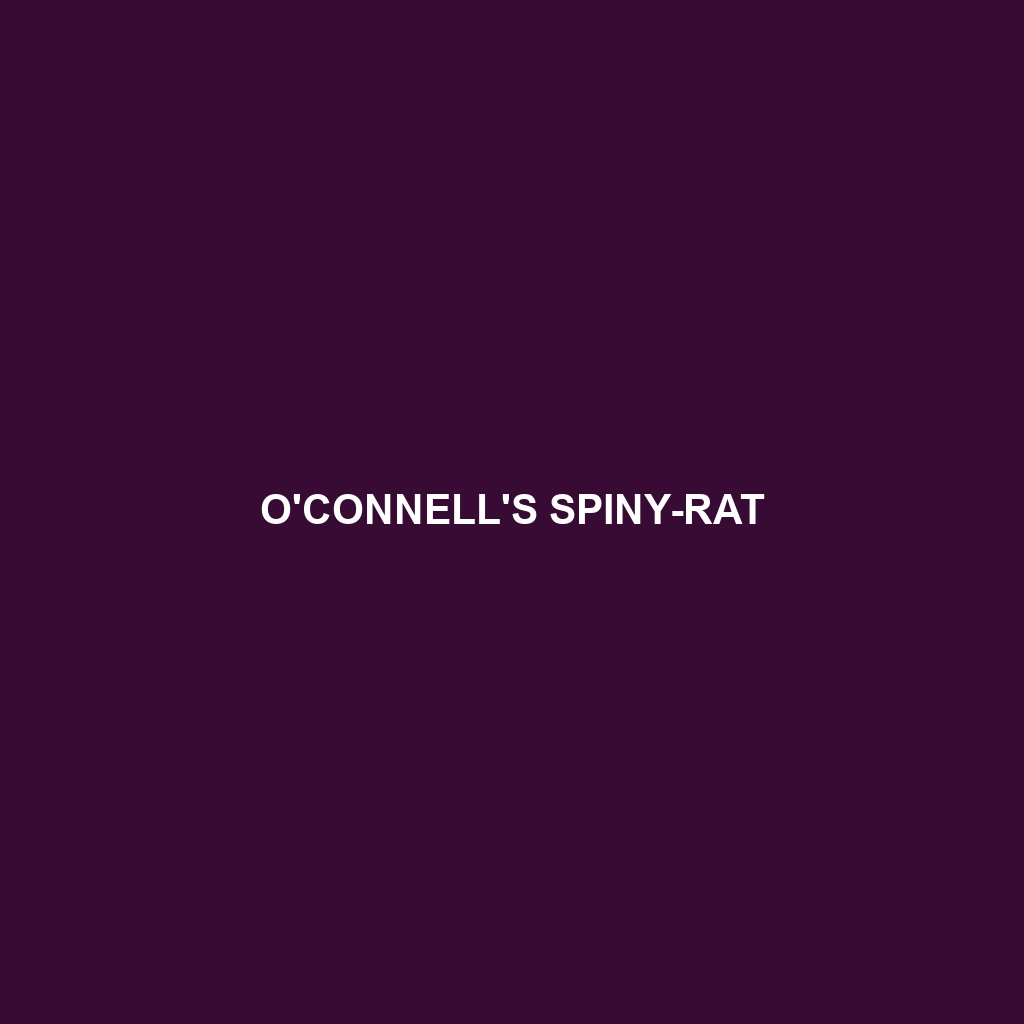 O'Connell's Spiny-rat