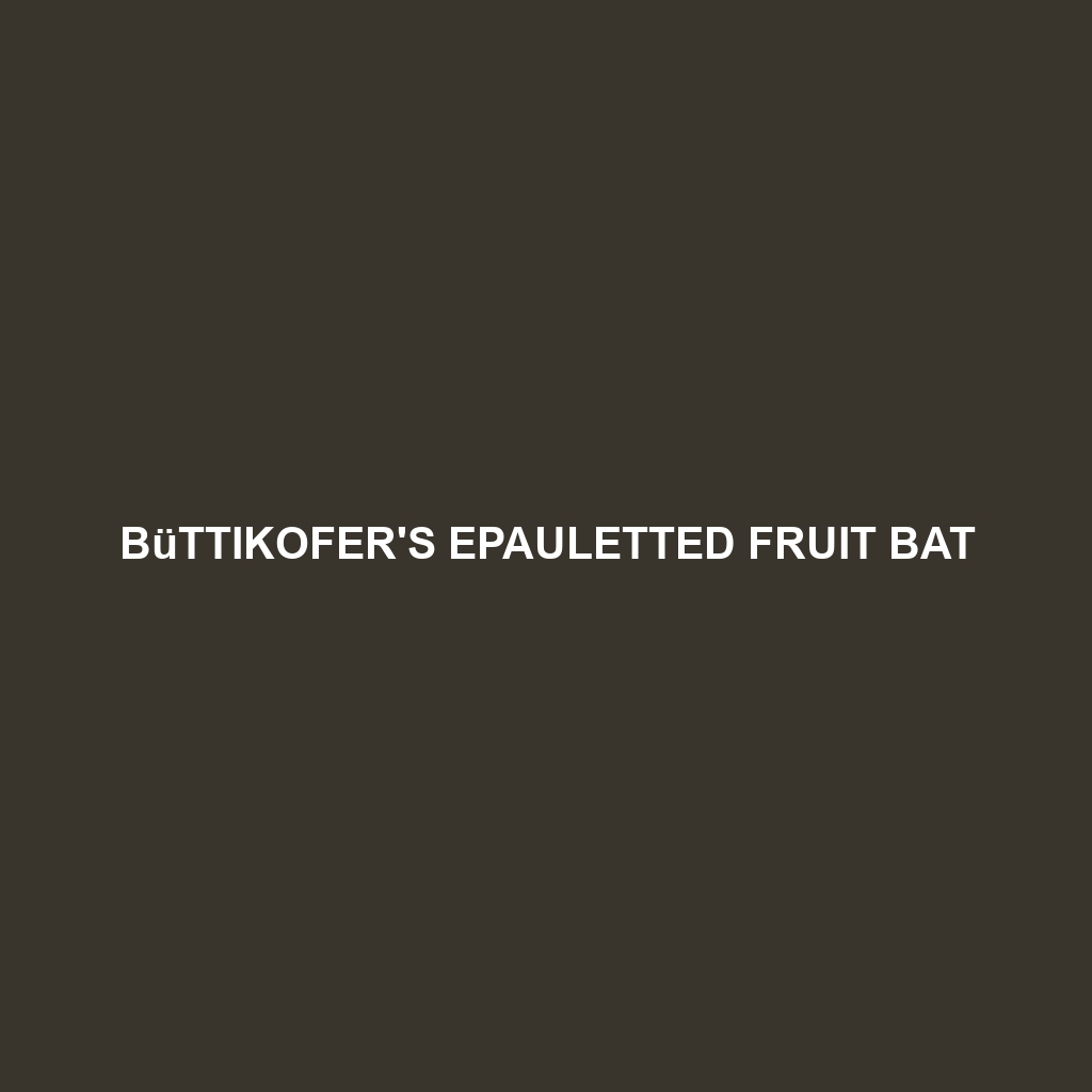 Büttikofer's Epauletted Fruit Bat