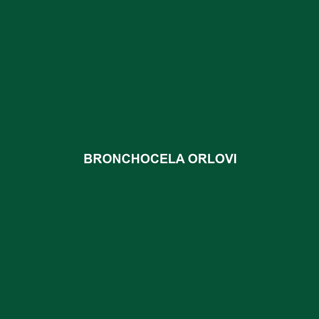 Bronchocela orlovi