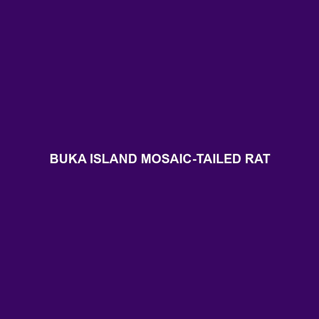 Buka Island Mosaic-tailed Rat