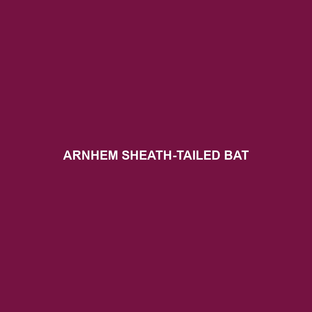 Arnhem Sheath-tailed Bat