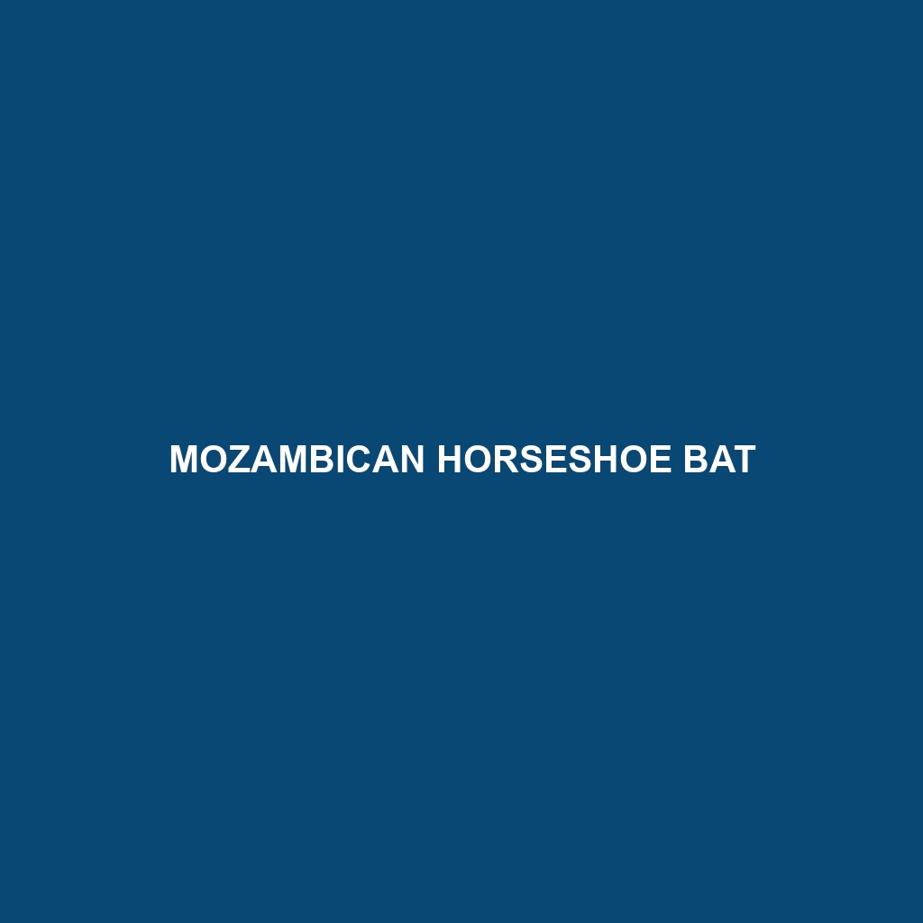 Mozambican Horseshoe Bat