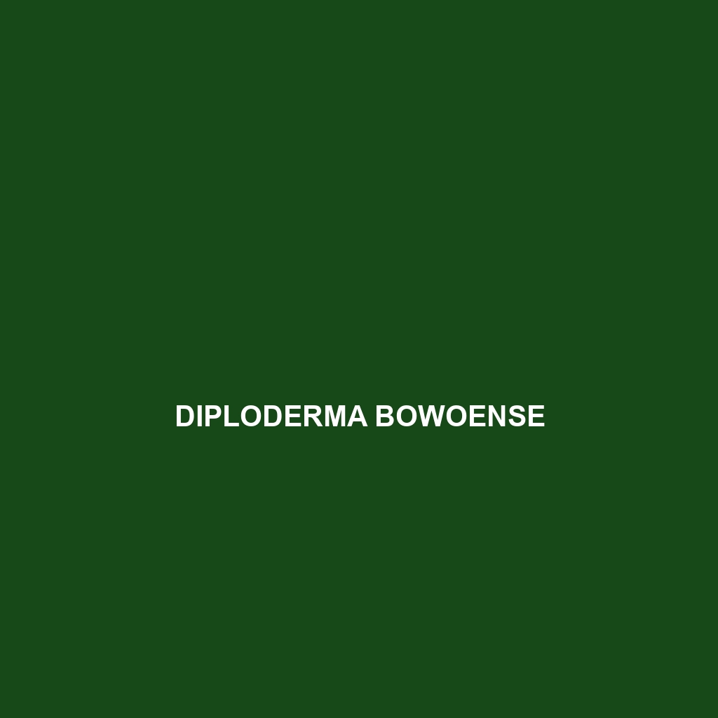 Diploderma bowoense