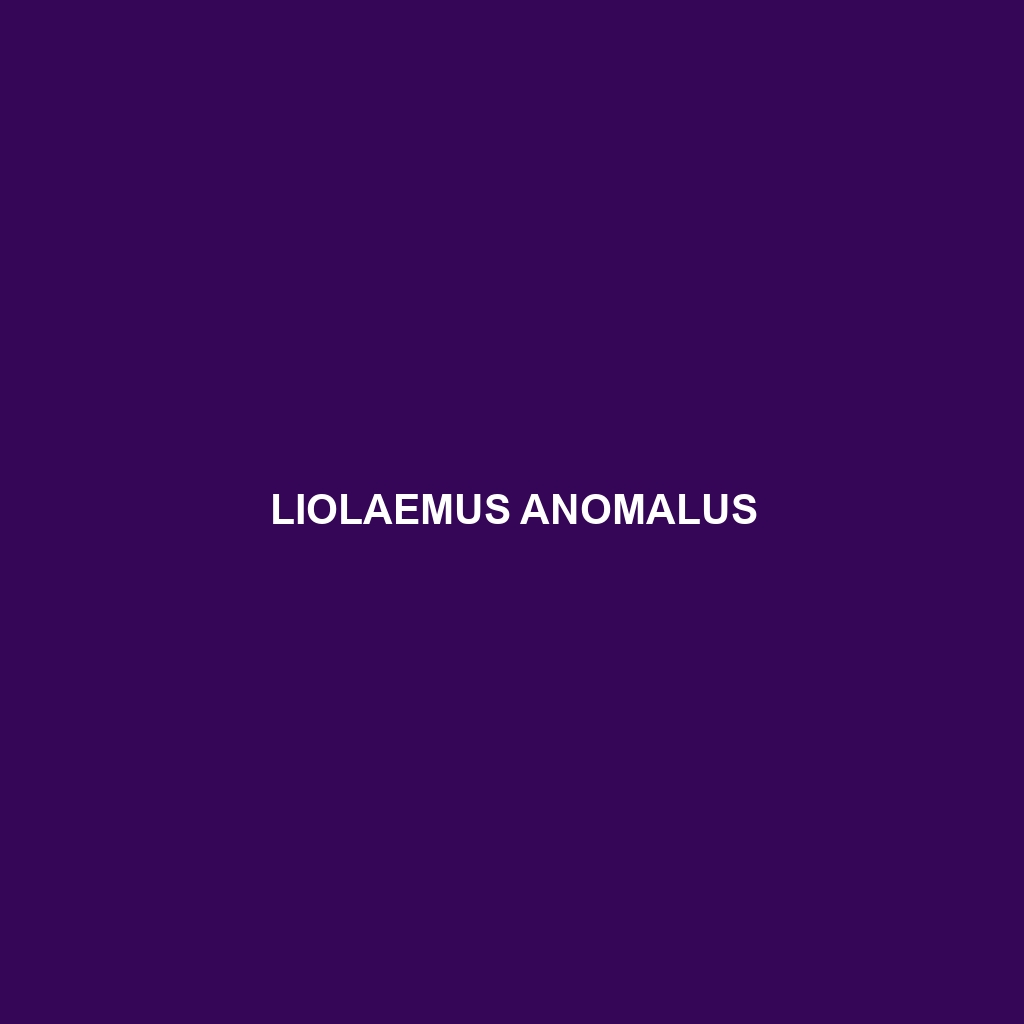 Liolaemus anomalus