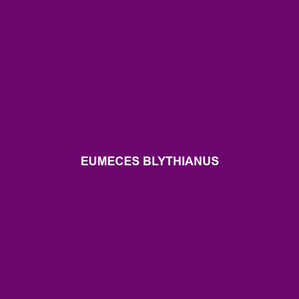 Eumeces blythianus