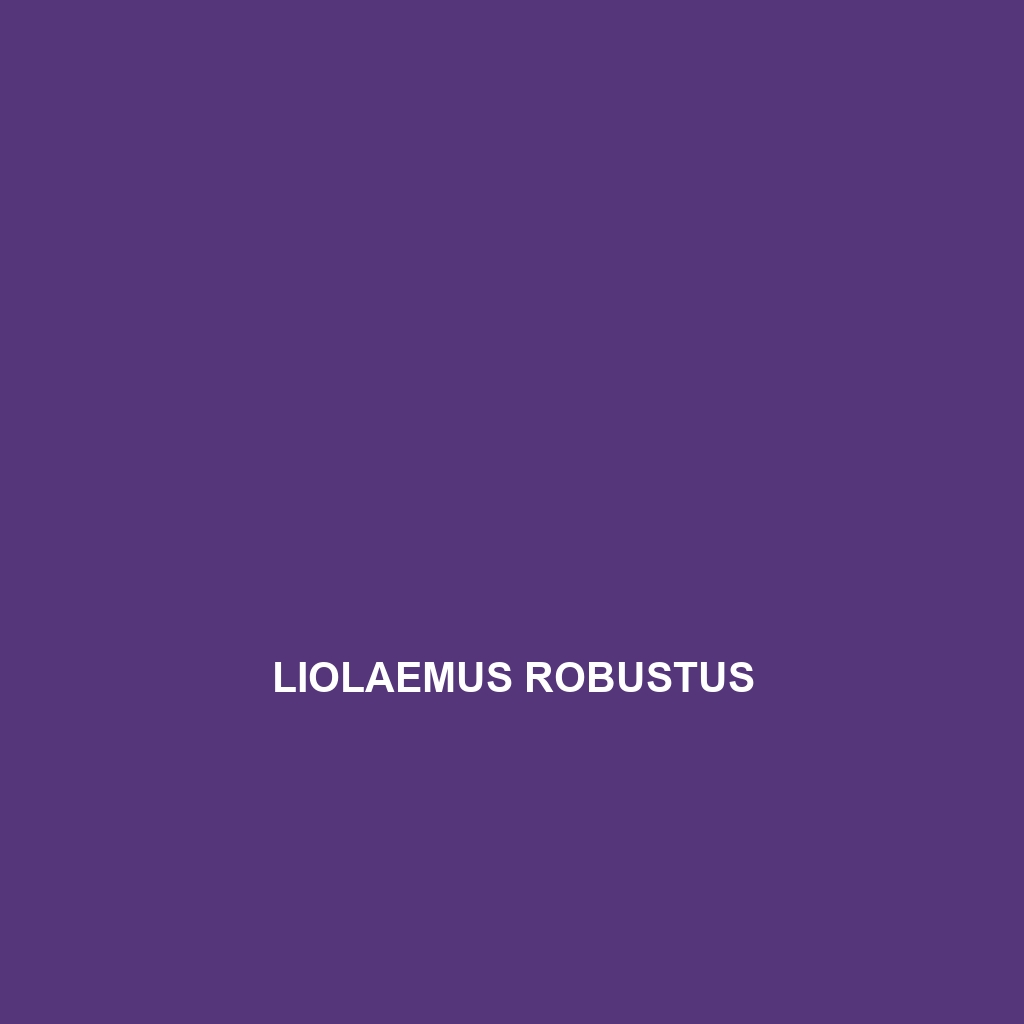 Liolaemus robustus