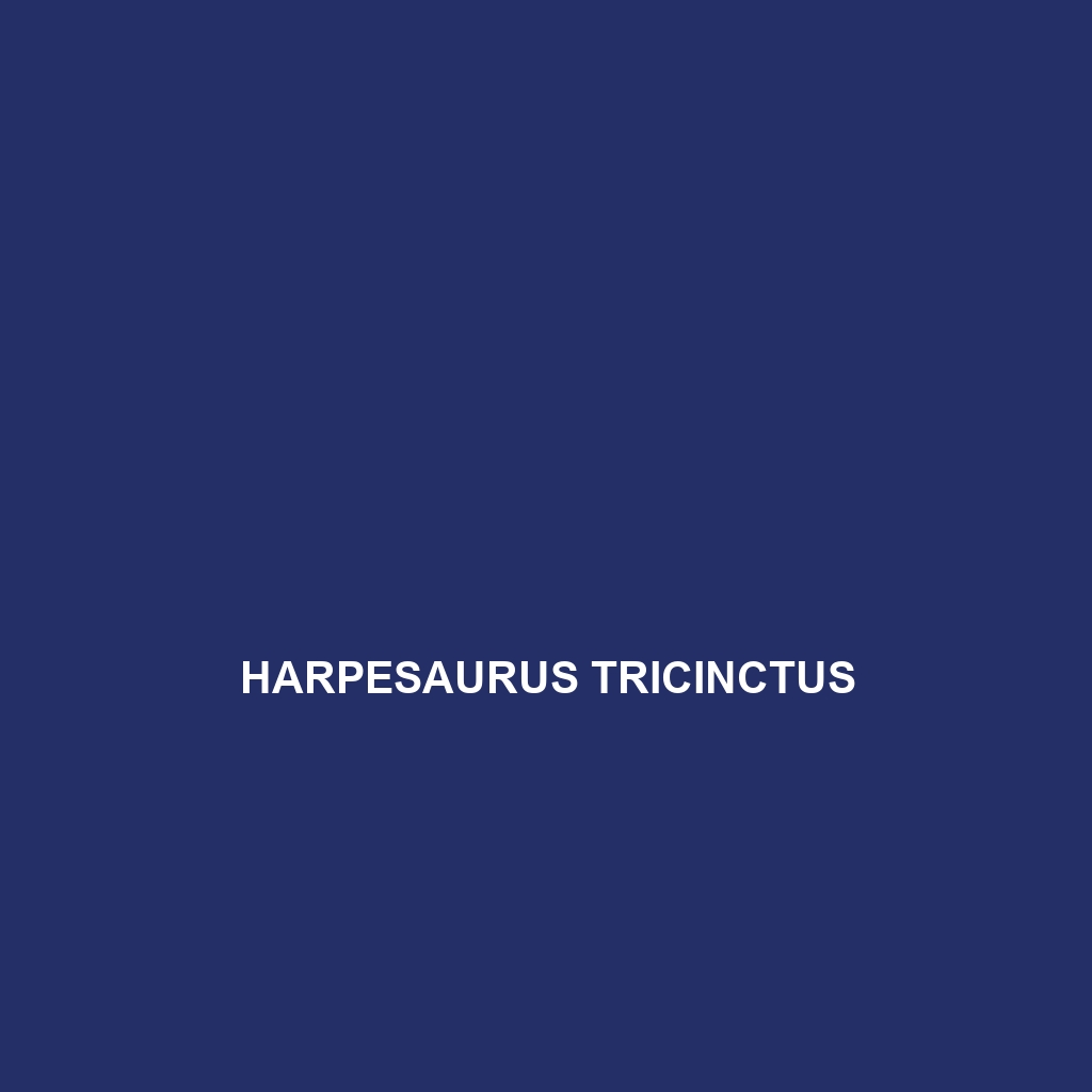 Harpesaurus tricinctus