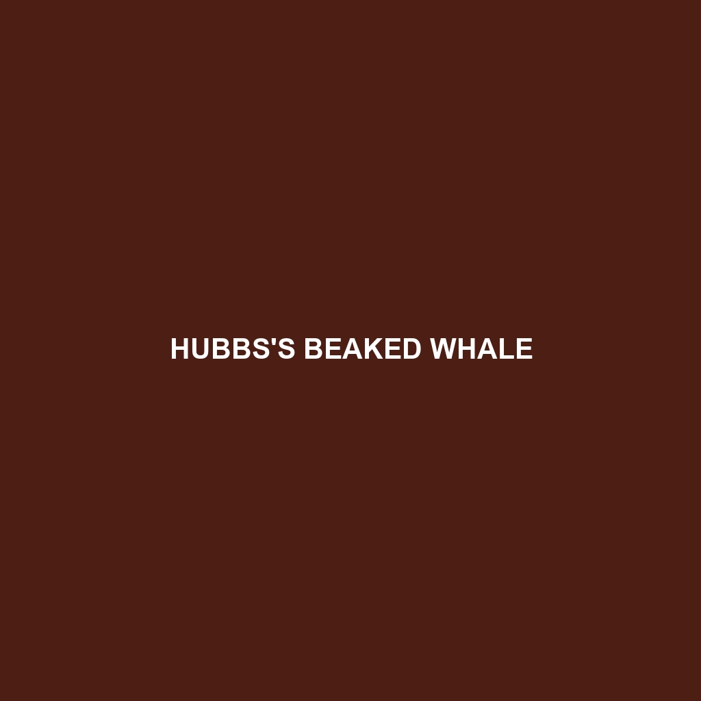 Hubbs's Beaked Whale