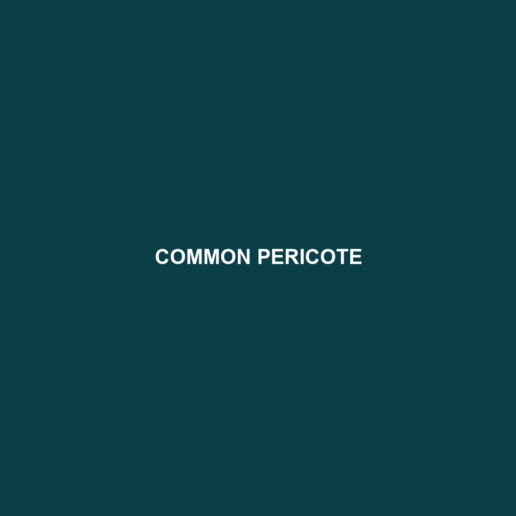 Common Pericote