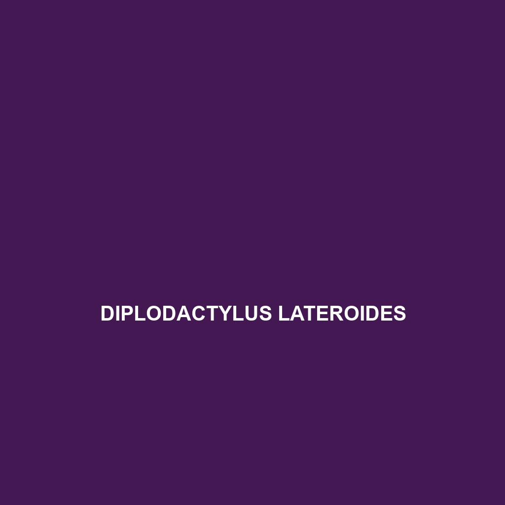 Diplodactylus lateroides