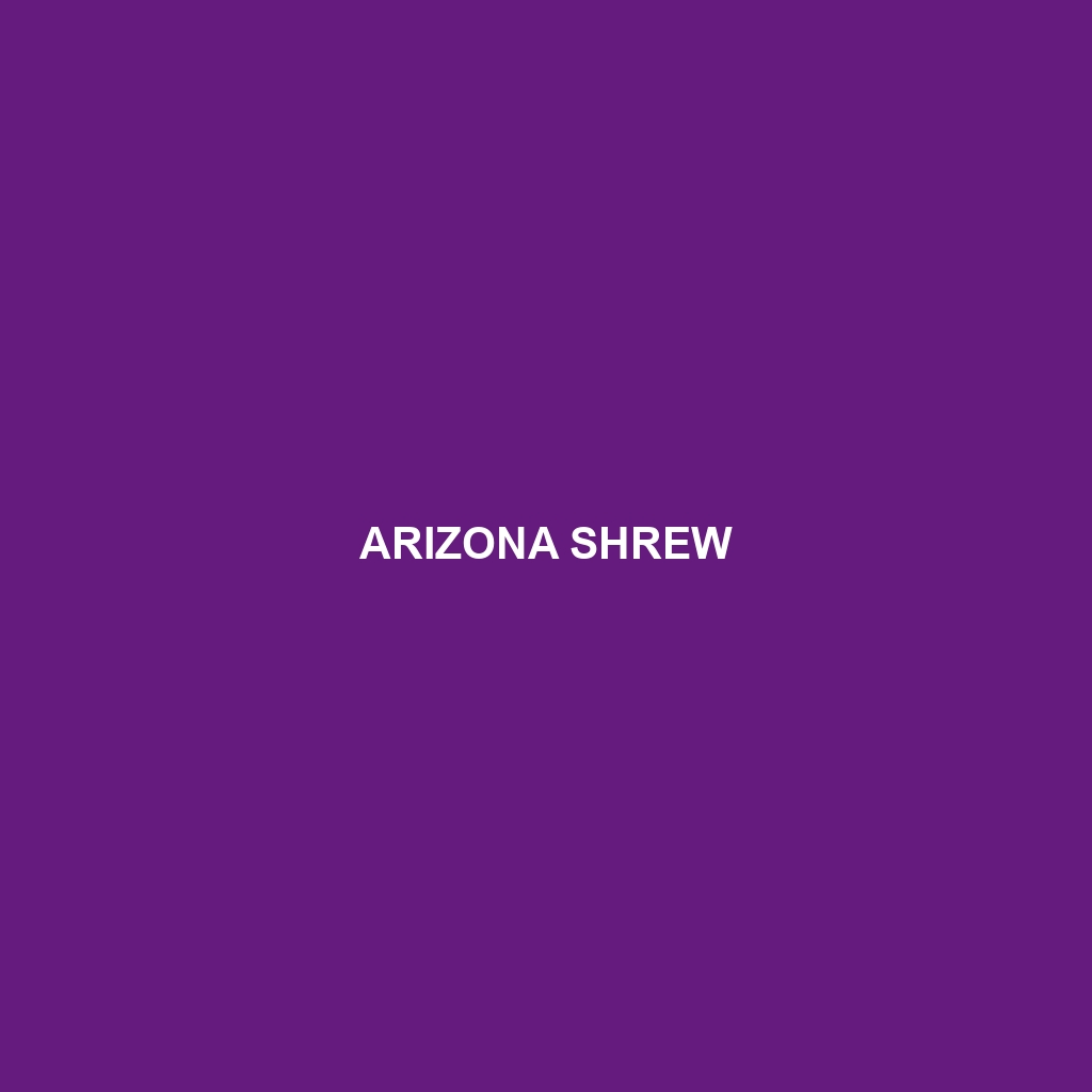 Arizona Shrew