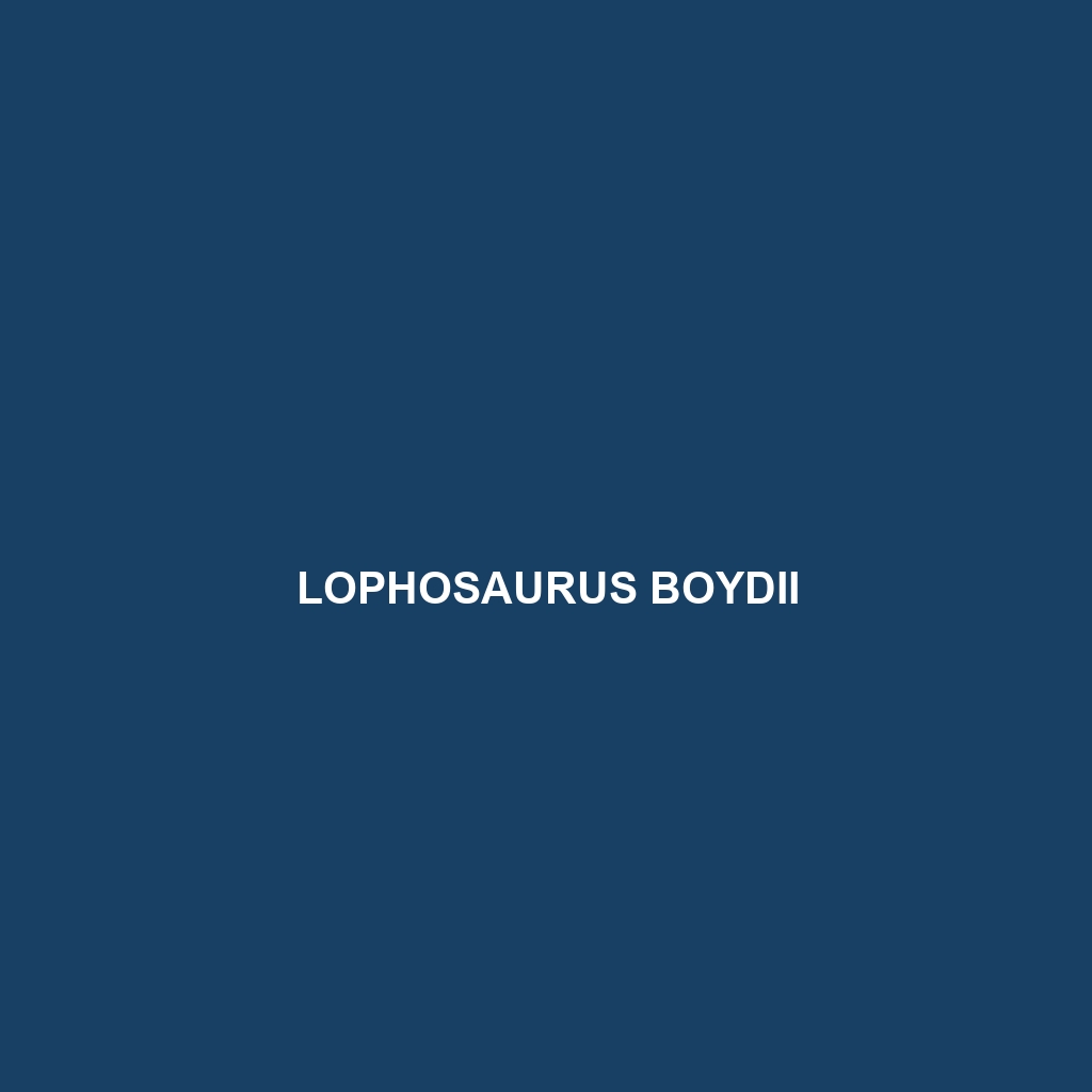 Lophosaurus boydii