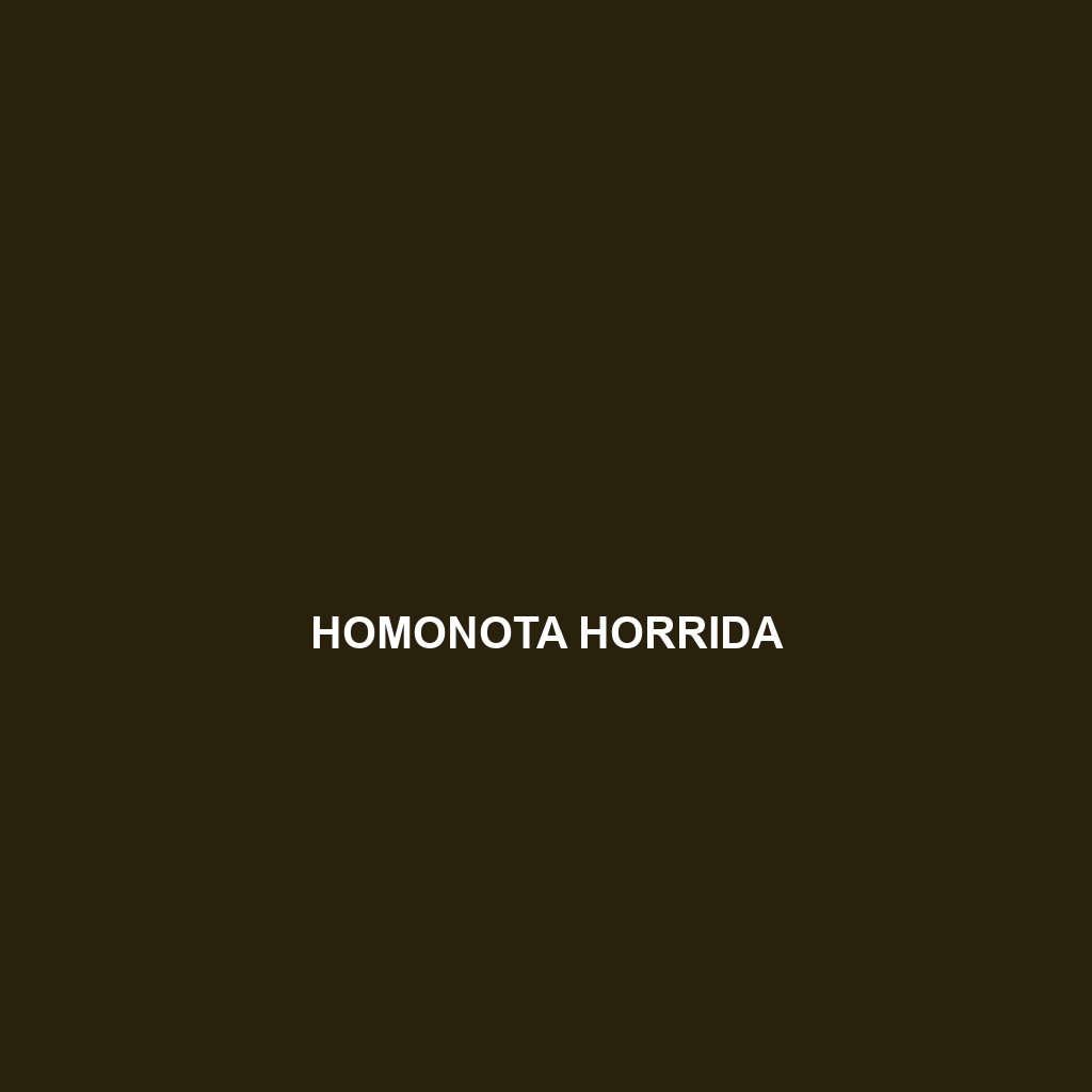 Homonota horrida