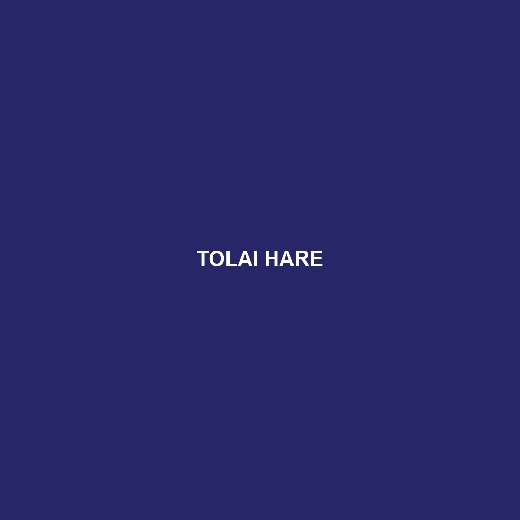 Tolai Hare