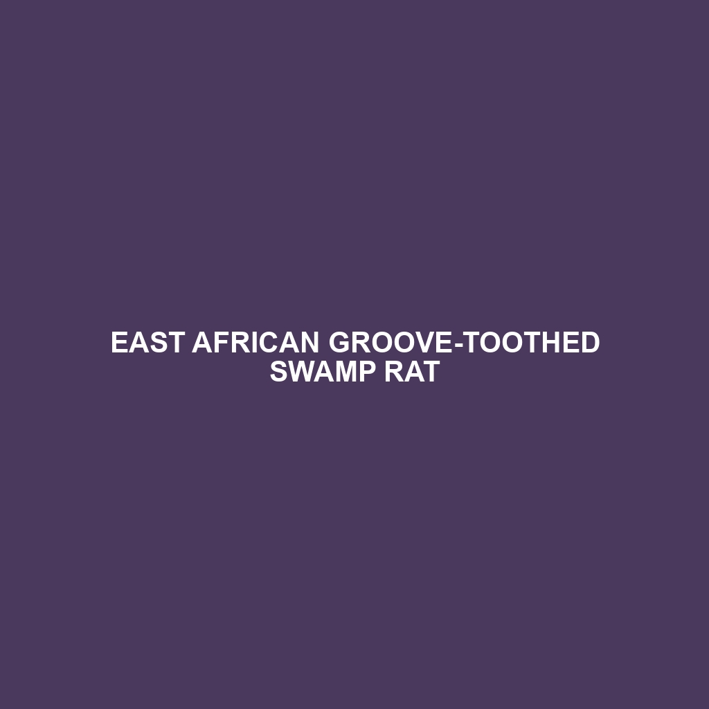 East African Groove-toothed Swamp Rat