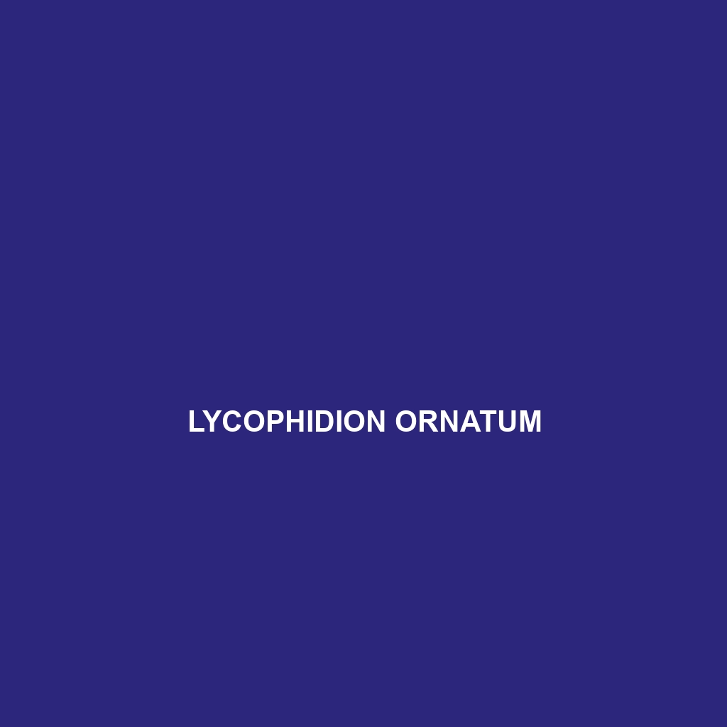 Lycophidion ornatum