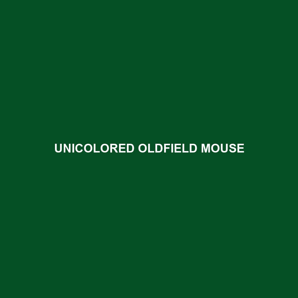 Unicolored Oldfield Mouse