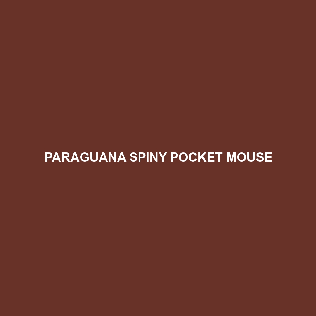 Jaliscan Spiny Pocket Mouse