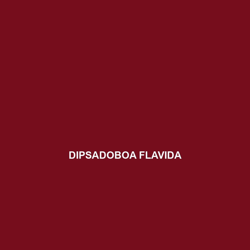 Dipsadoboa flavida