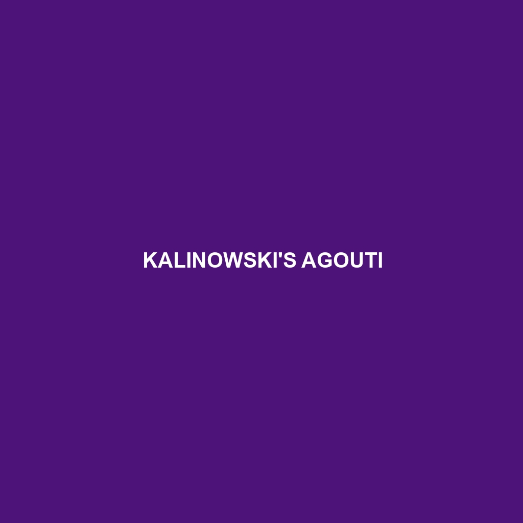 Kalinowski's Agouti