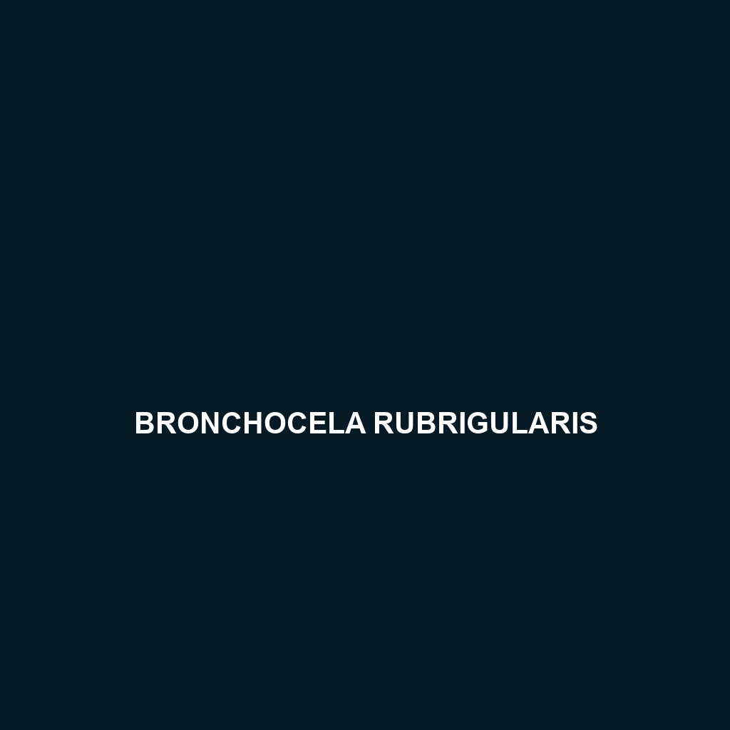 Bronchocela rubrigularis