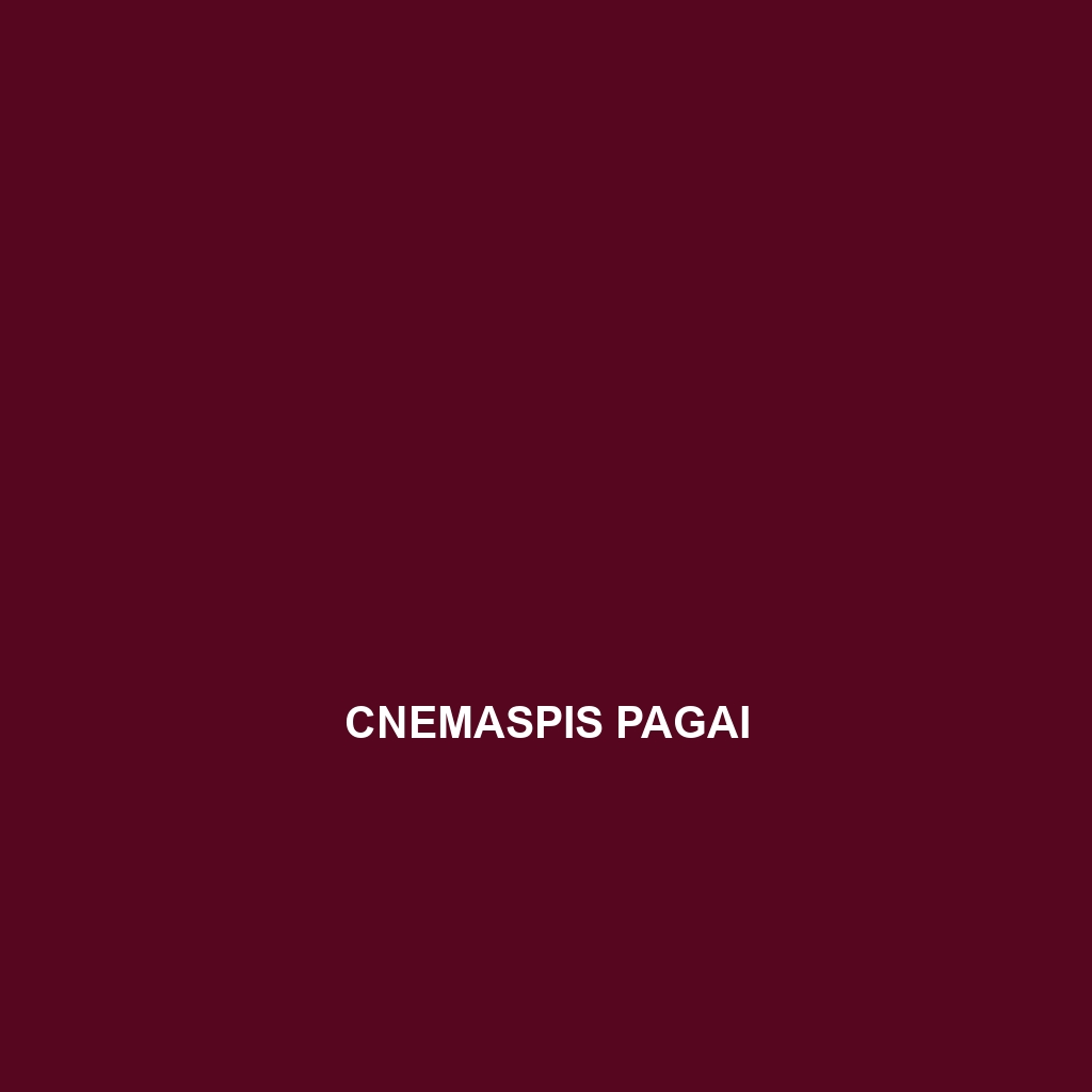 Cnemaspis pagai