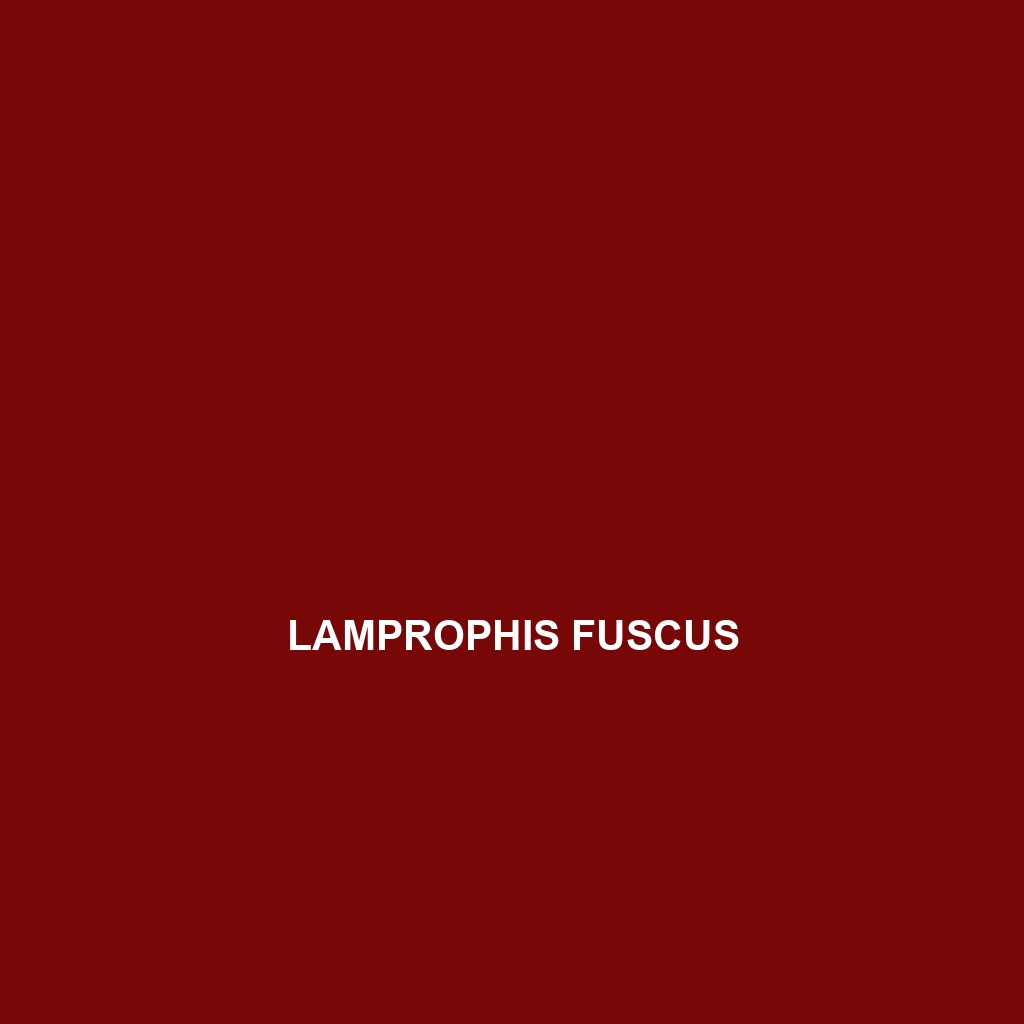 Lamprophis fuscus