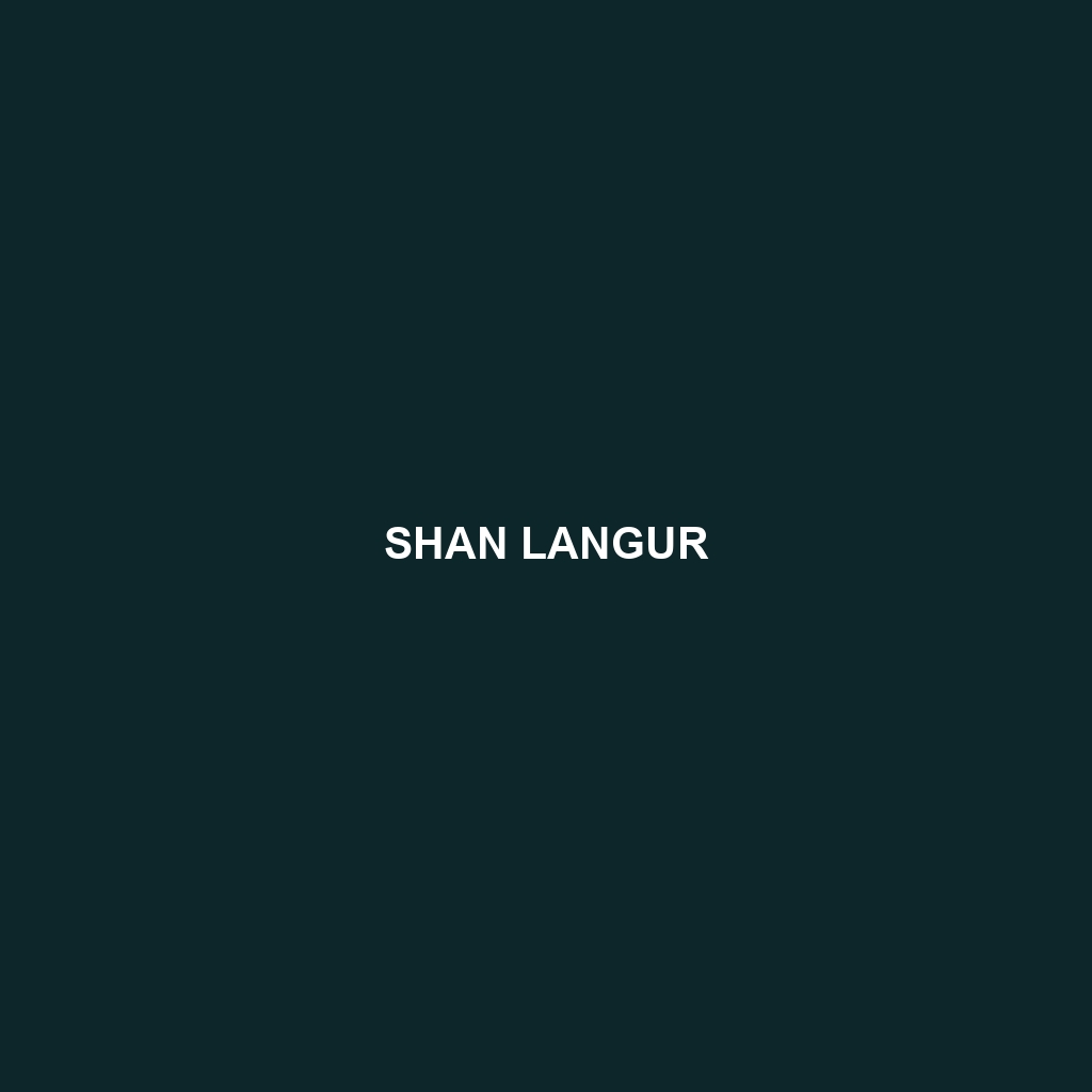 Shan Langur