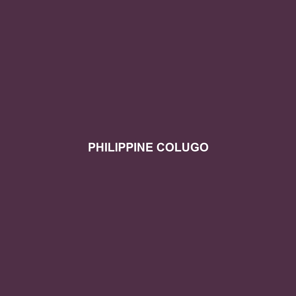 Philippine Colugo