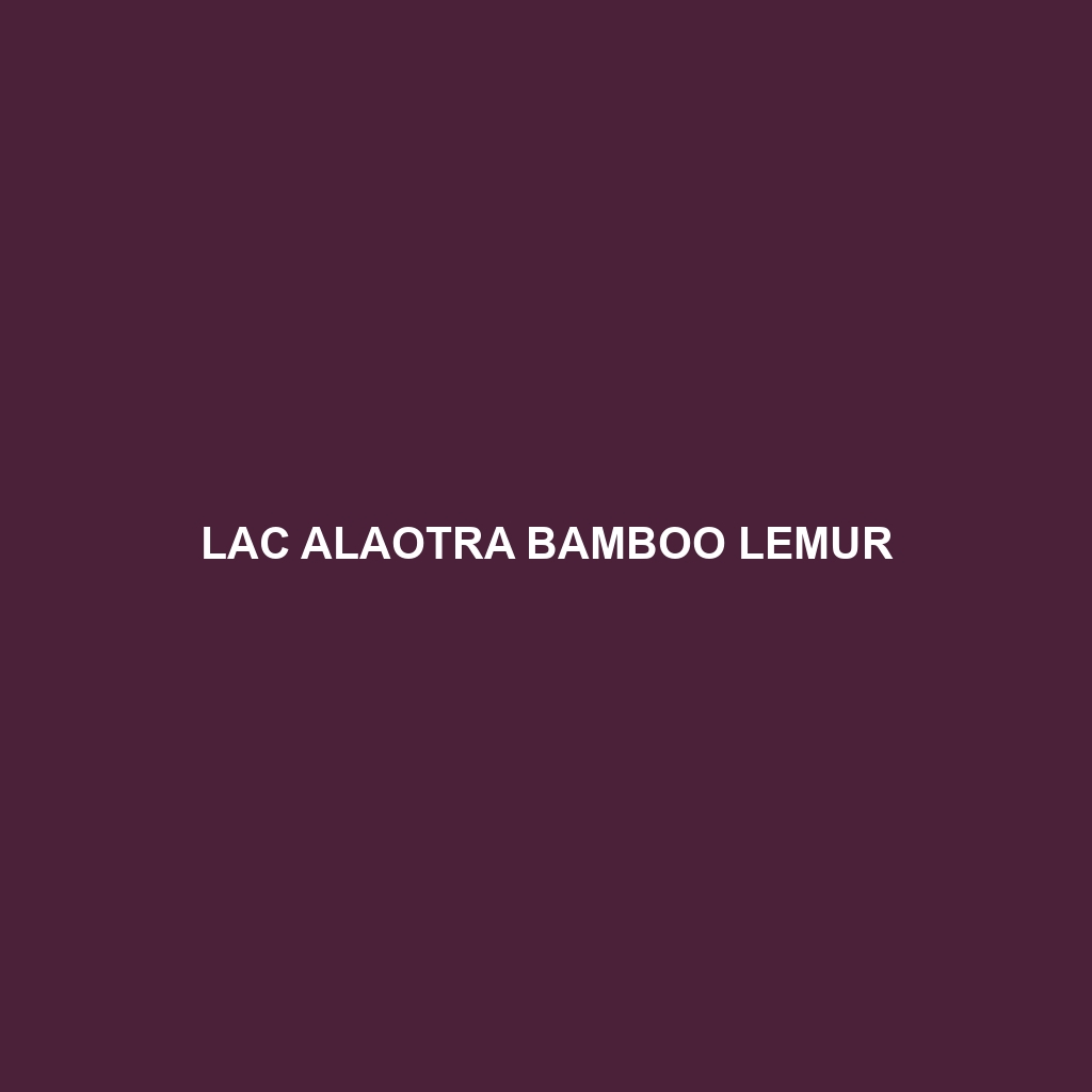 Lac Alaotra Bamboo Lemur