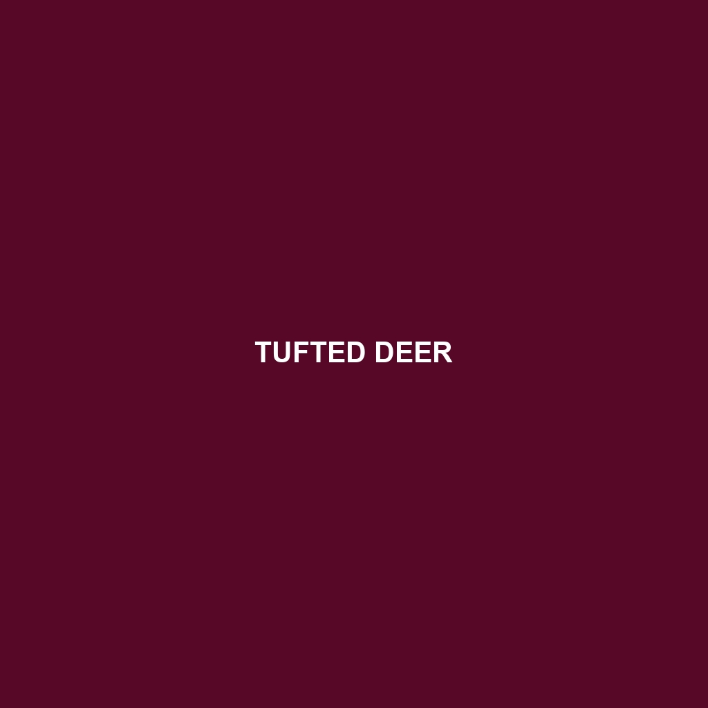 Tufted Deer