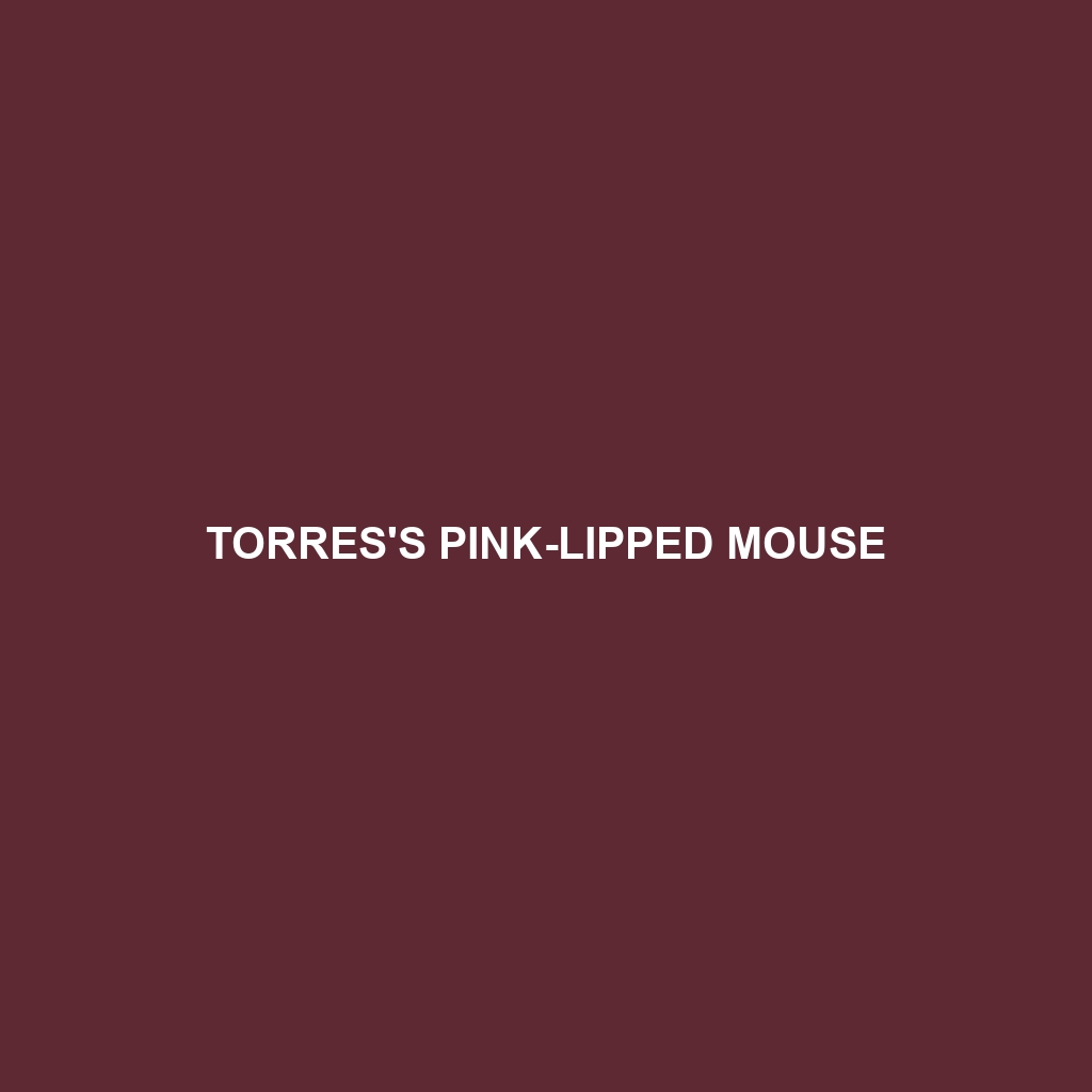 Torres's Pink-lipped Mouse