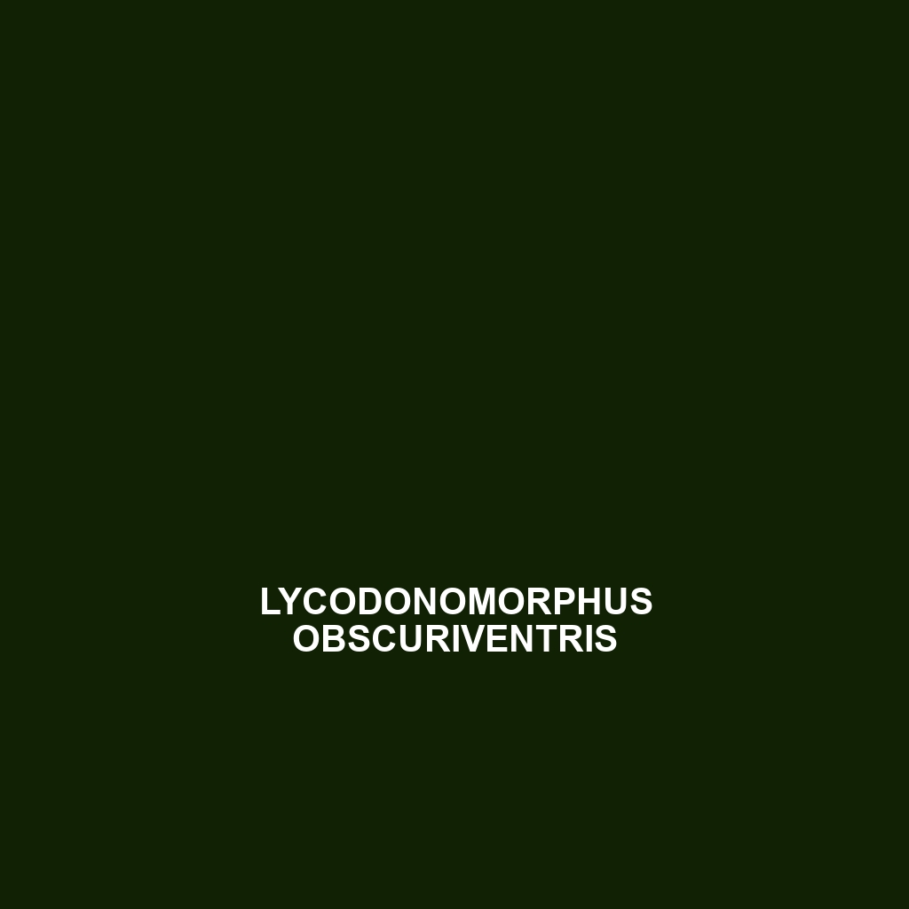 Lycodonomorphus obscuriventris