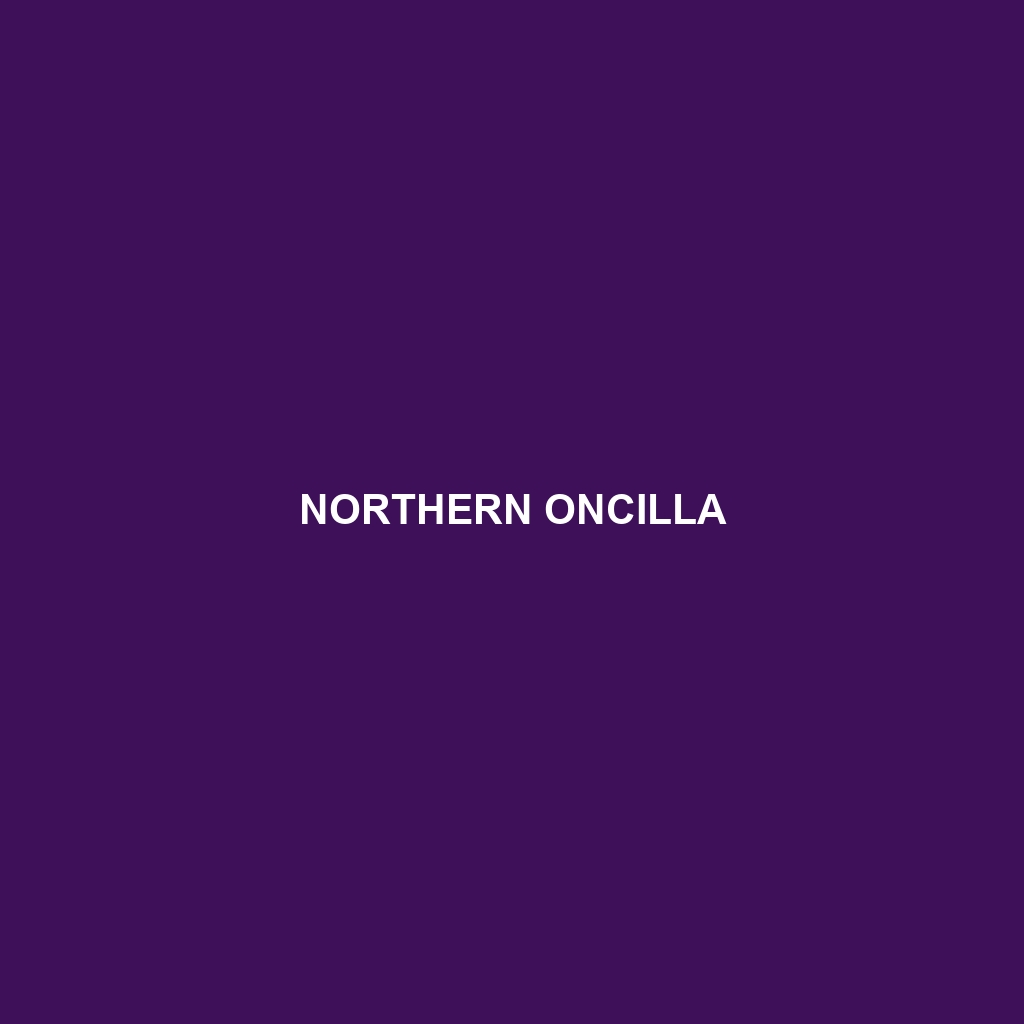 Northern Oncilla