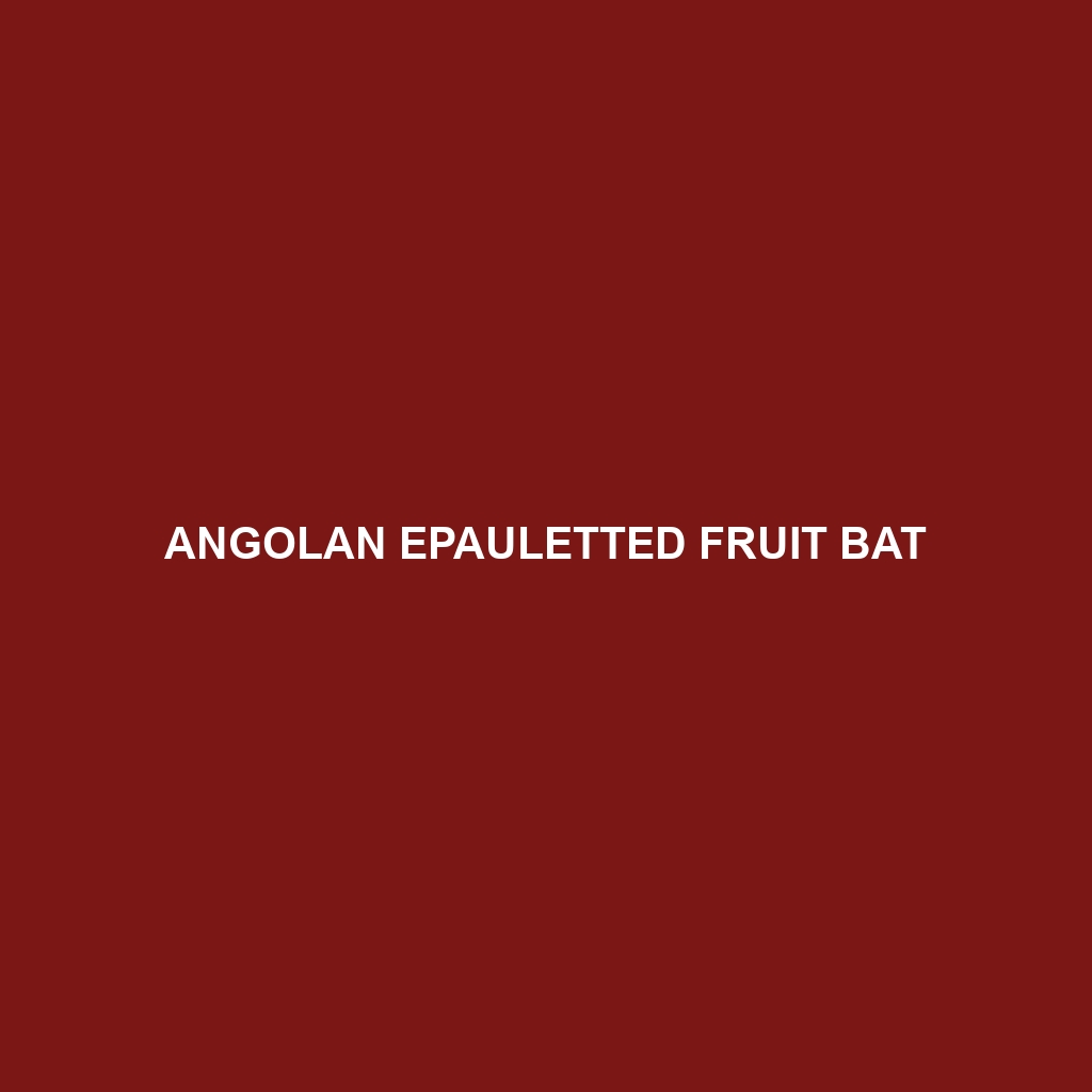 Angolan Epauletted Fruit Bat