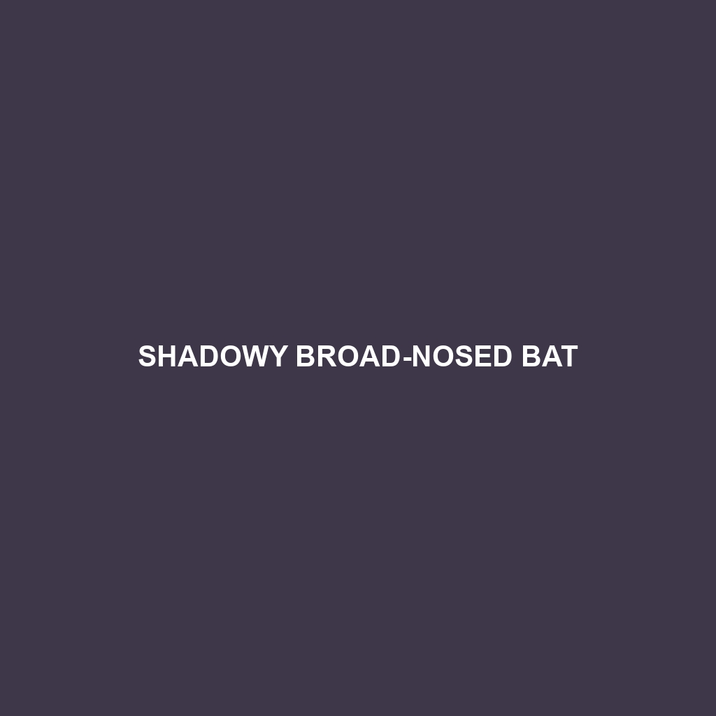 Shadowy Broad-nosed Bat