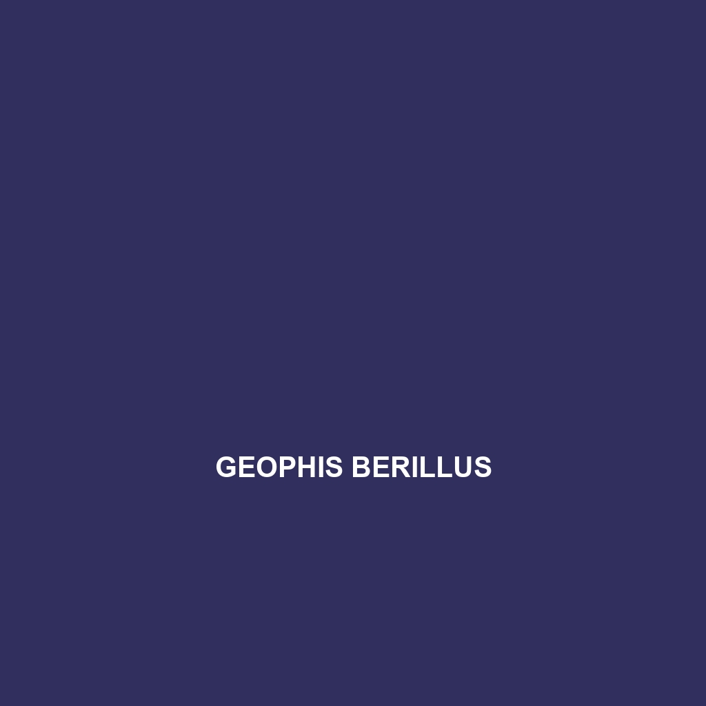 Geophis berillus