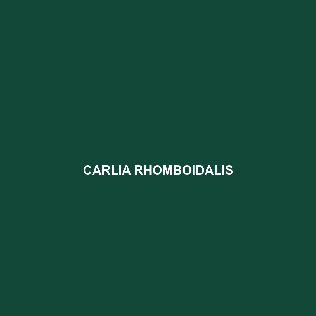 Carlia rhomboidalis