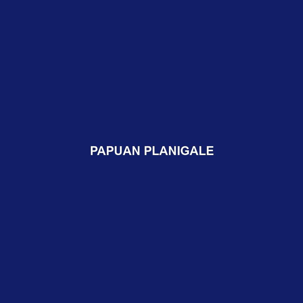 Papuan Planigale